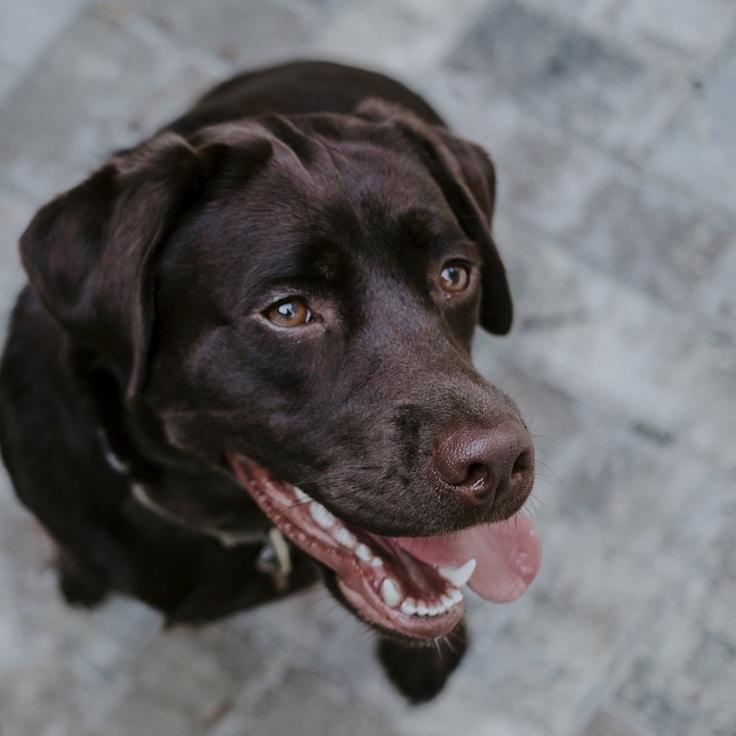 Kaveri Mehta, Lead Design Curator at BrookhavenWorks, reviewing corporate floral arrangements